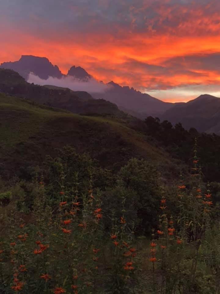 Misty Peaks Cloudlands Villa Bergview Dış mekan fotoğraf